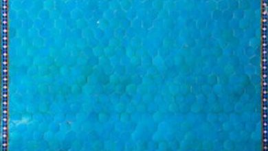 IMG ۲۰۲۱۰۷۲۵ ۱۰۵۵۱۷