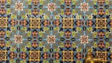 IMG ۲۰۲۱۰۷۳۰ ۱۰۴۵۰۴