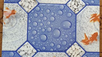 IMG 20211117 082614 109