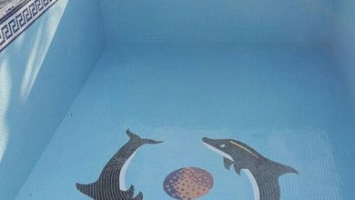 IMG ۲۰۲۱۰۷۲۸ ۱۳۳۷۴۴